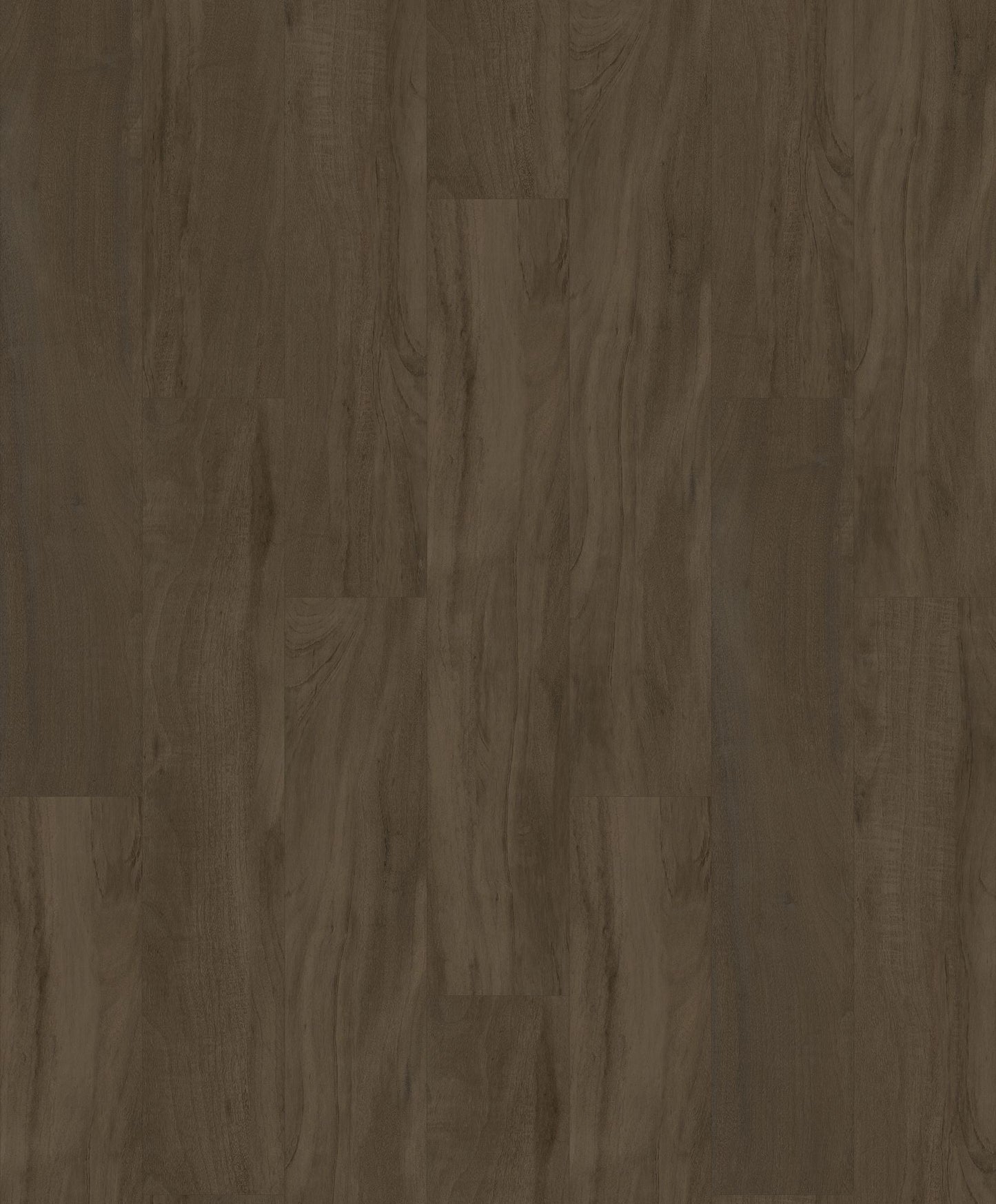 HOMESCAPES NATIVE HYBRID | 1H1502