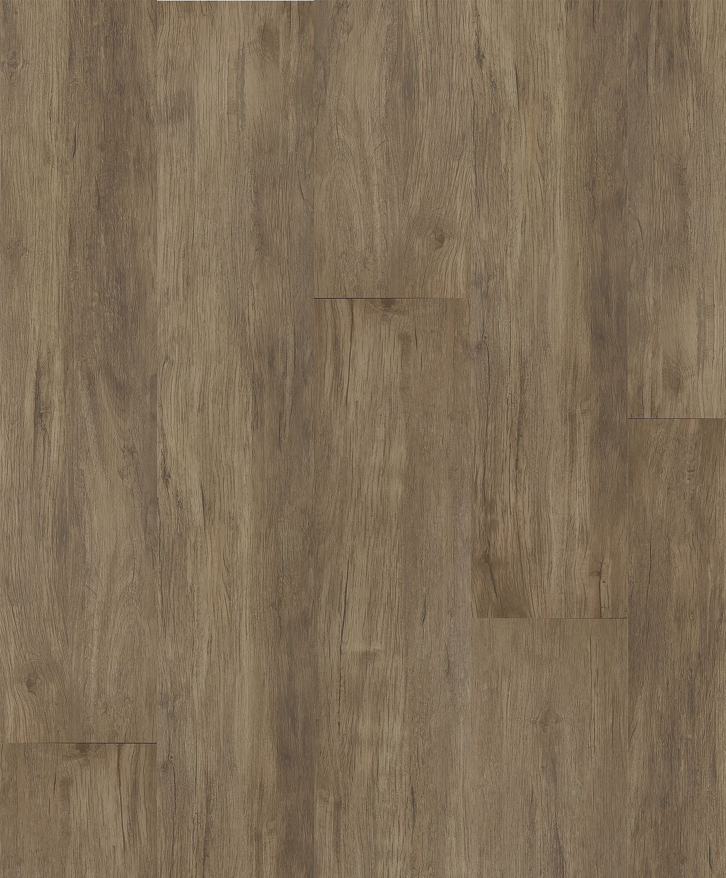 HOMESCAPES XL | 3X0000