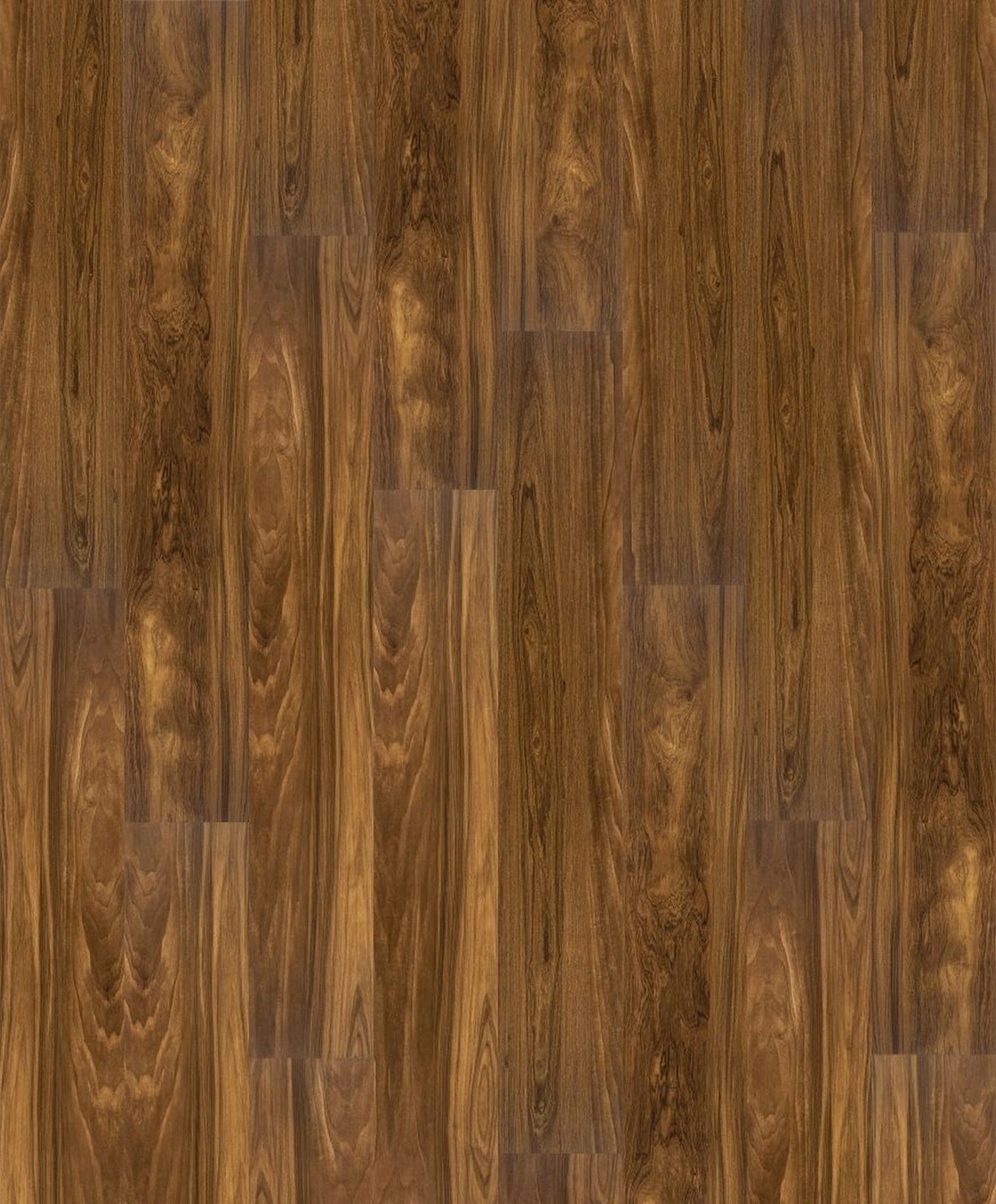 NATURAL CREATIONS XL | 3X0000