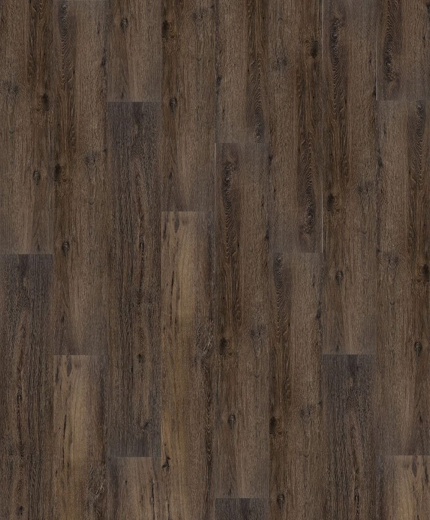 HOMESCAPES XL | 3X0000