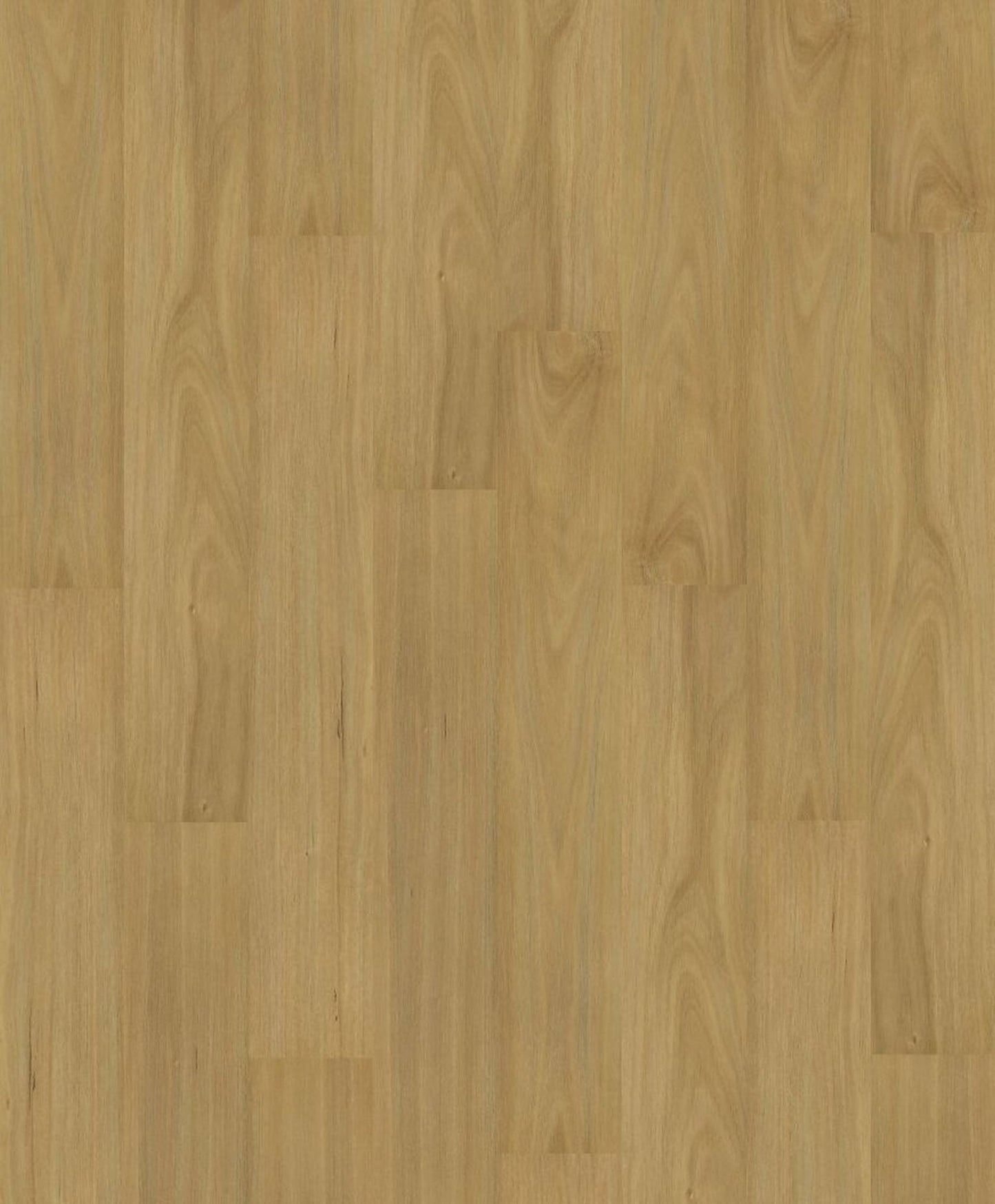 HOMESCAPES XL | 3X0000