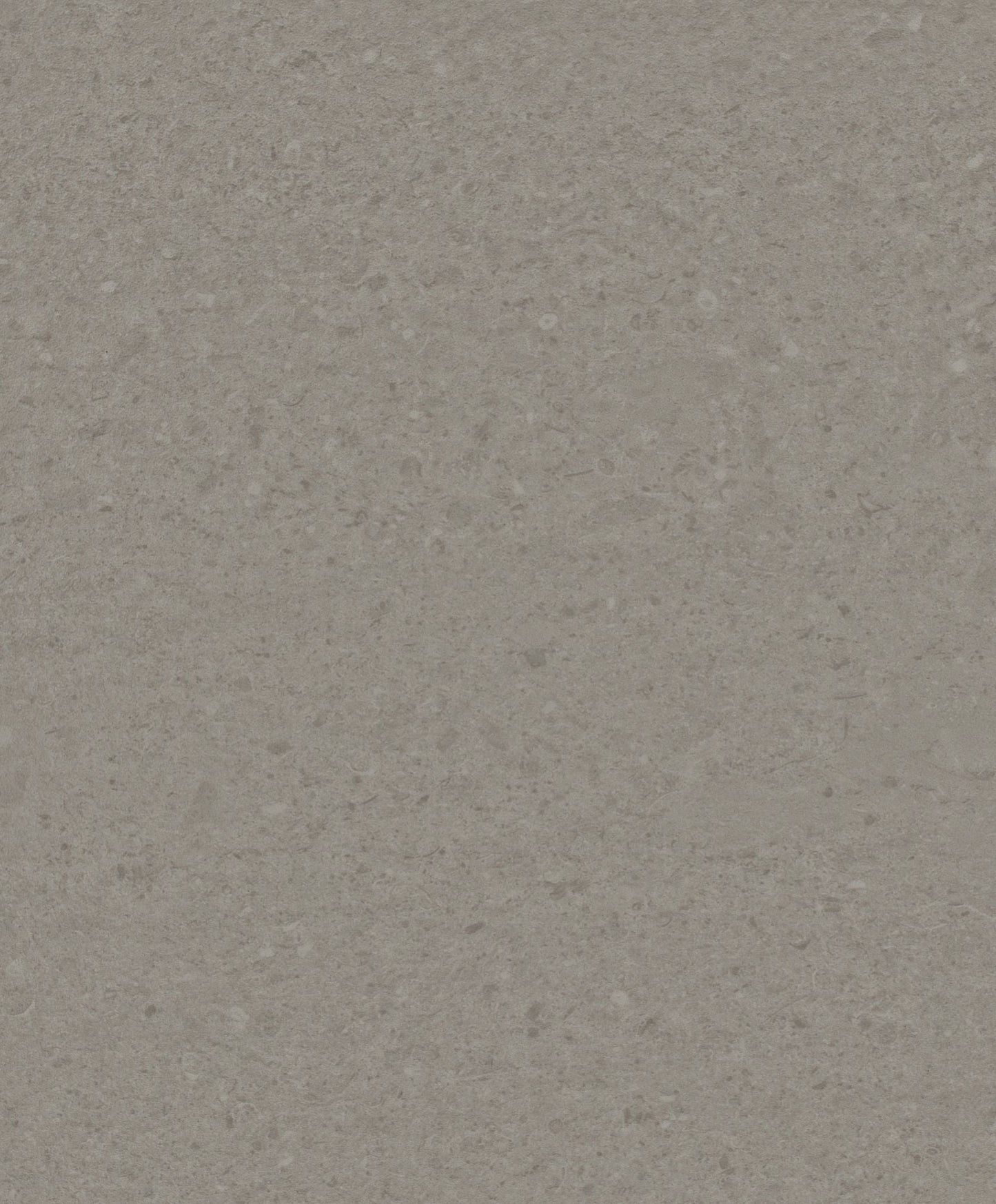 WILDERNESS (500 x 500) | 3X9070