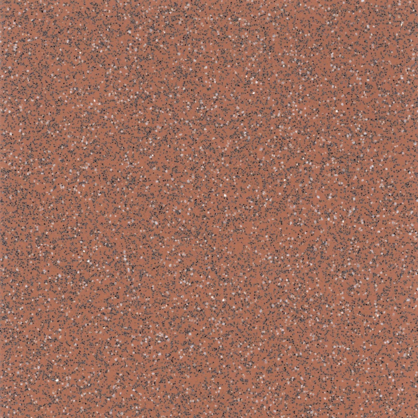 Safeguard R11 | 4D1100