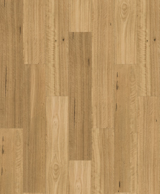 HOMESCAPES NATIVE HYBRID | 1H1502