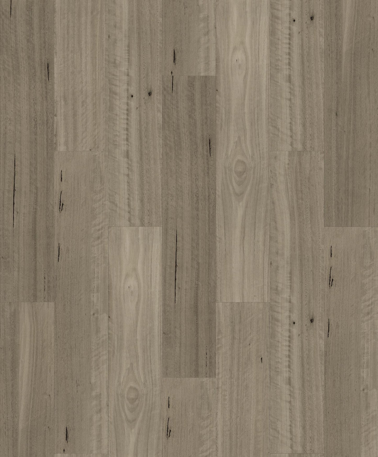 HOMESCAPES NATIVE HYBRID | 1H1502