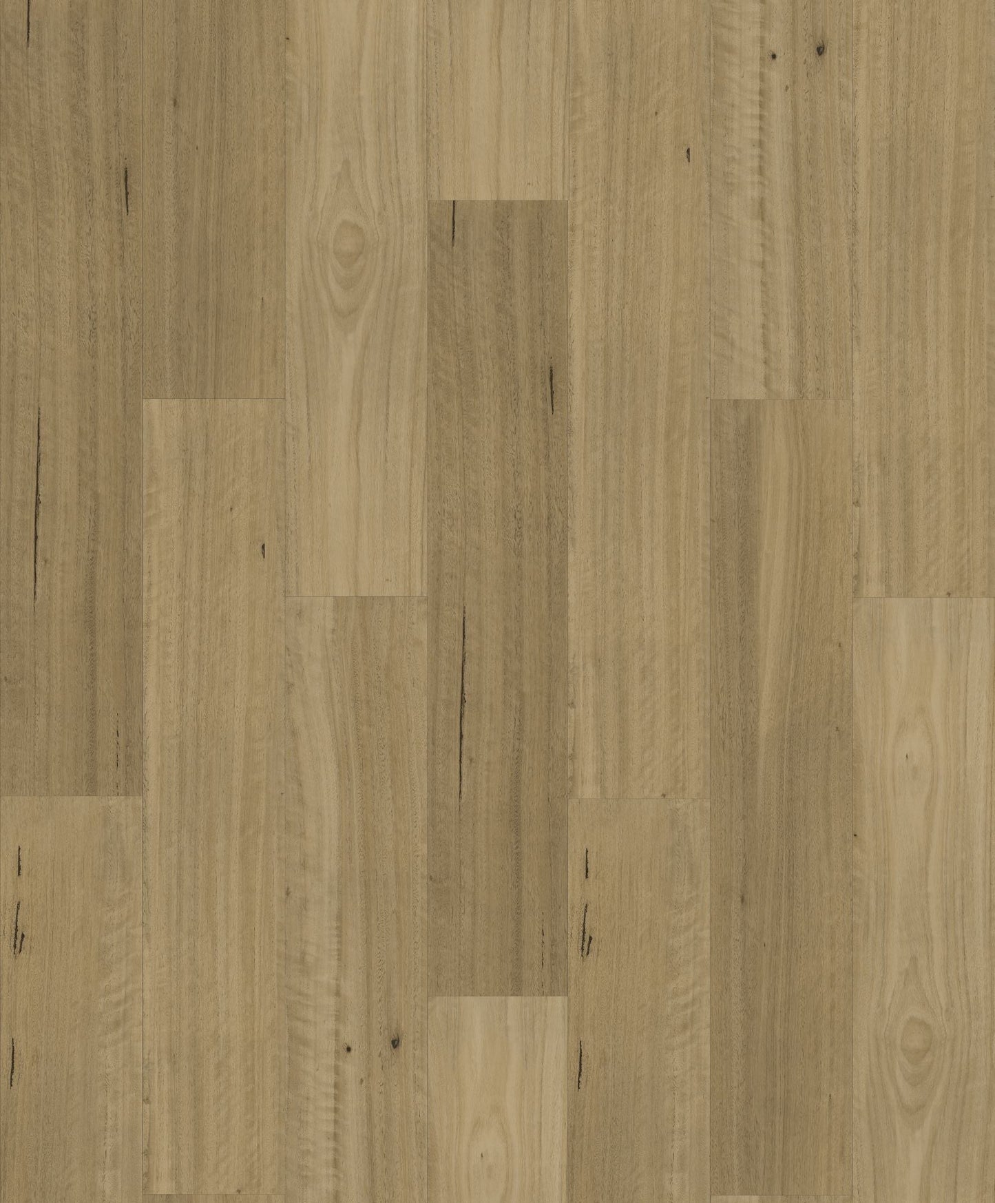 HOMESCAPES NATIVE HYBRID | 1H1502