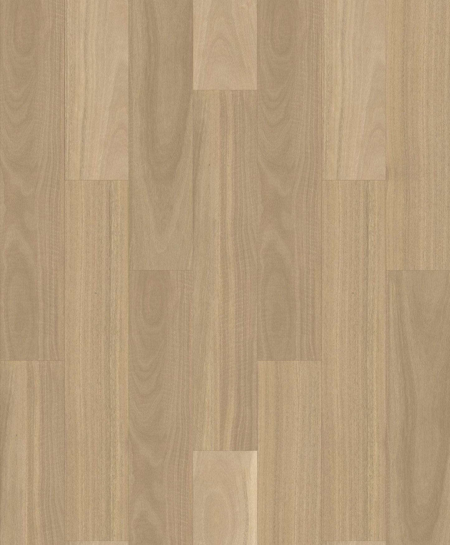 HOMESCAPES NATIVE HYBRID | 1H1502