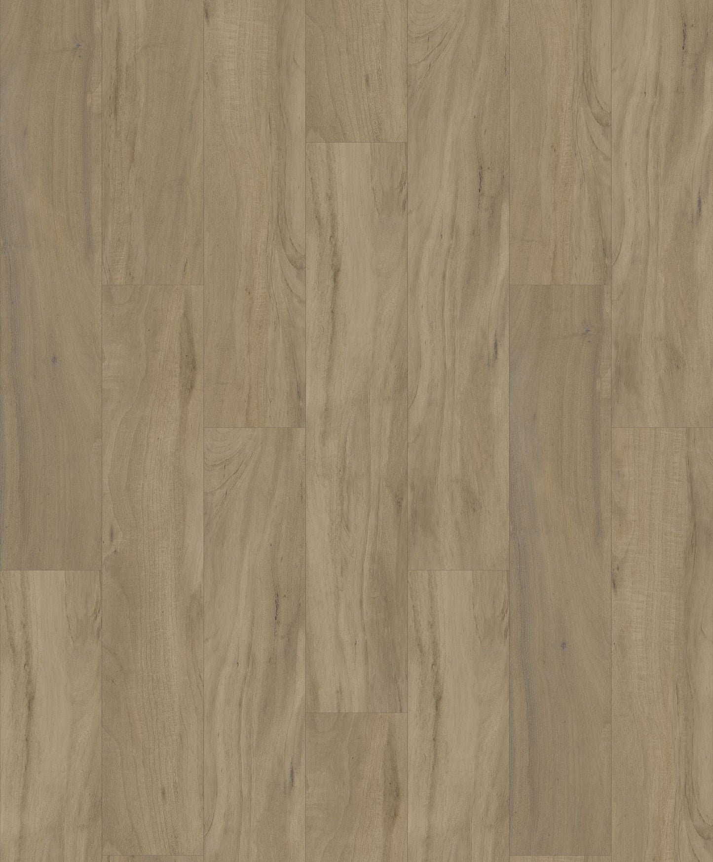 HOMESCAPES NATIVE HYBRID | 1H1502