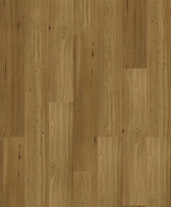 KINGSWOOD SELECT | 1H1803