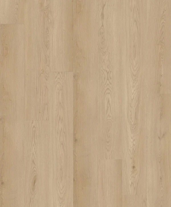 KINGSWOOD SELECT | 1H1803