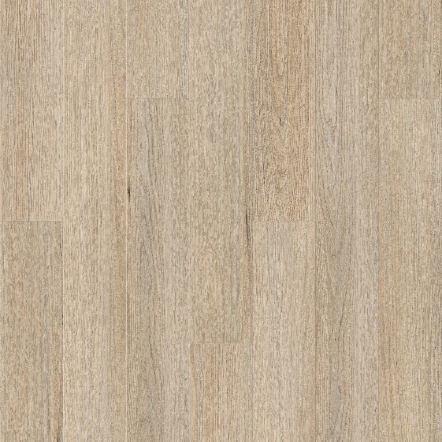 QUEENSTOWN 1.5 | 2L1500