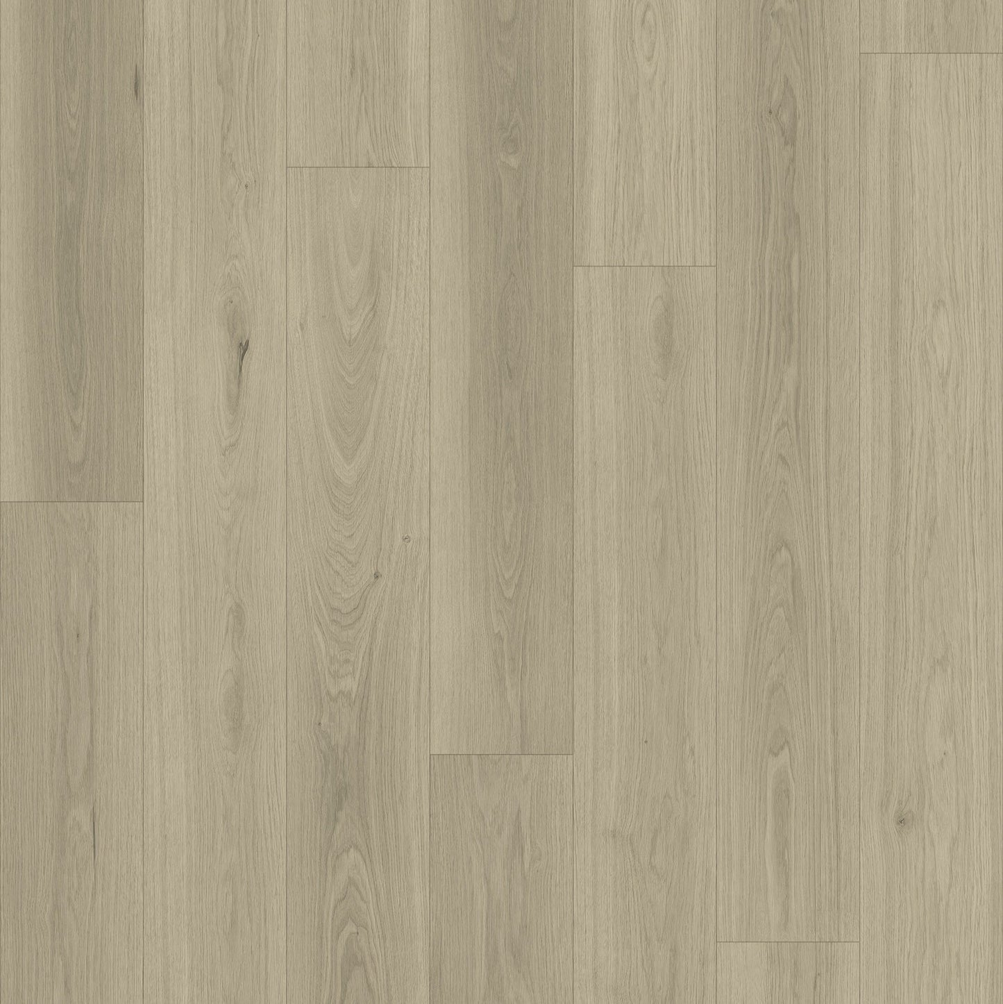 QUEENSTOWN 1.5 | 2L1500