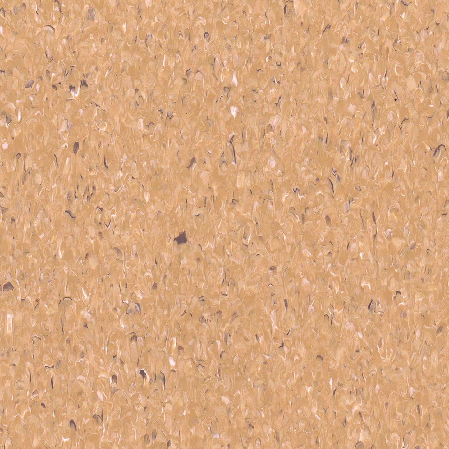 Accolade Safe | 5A5130