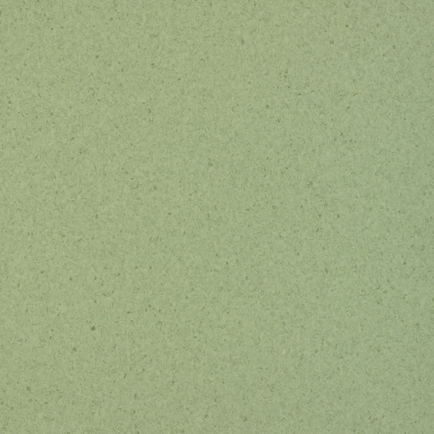 Accolade Plus | 5A5030