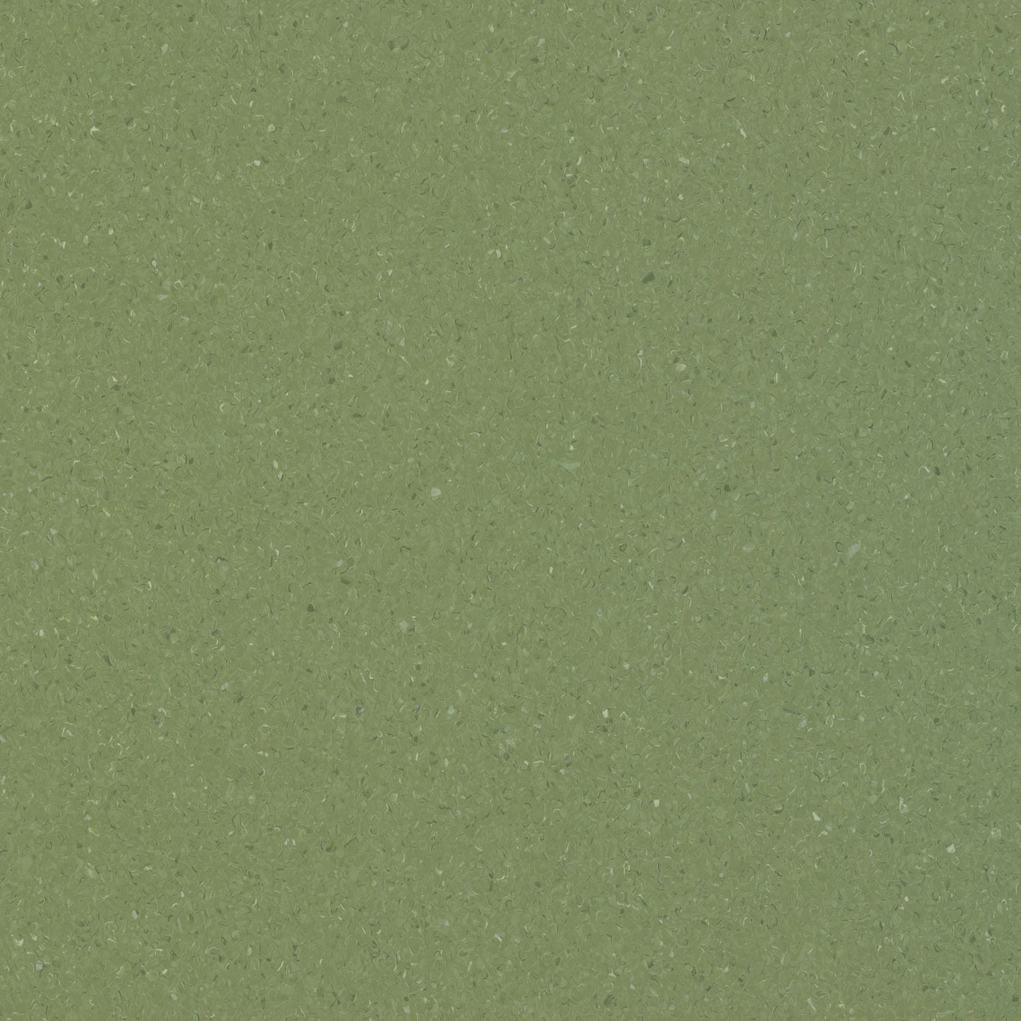 Accolade Plus | 5A5030