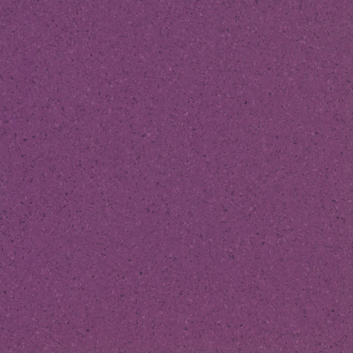 Accolade Plus | 5A5030