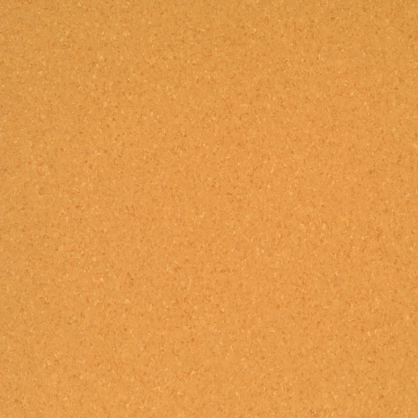 Accolade Foothold | 5A5230